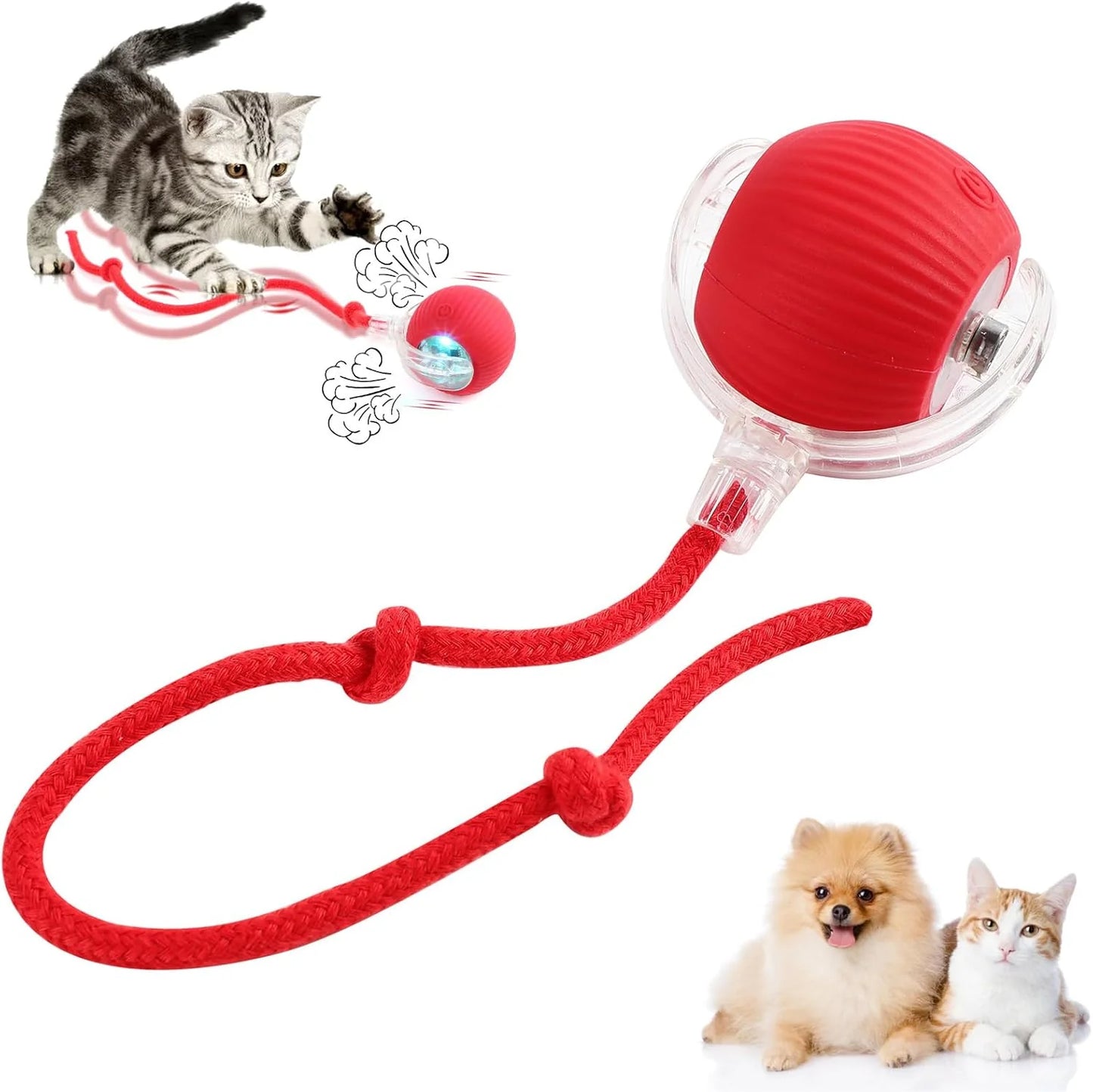 Smart Rechargeable Pet Rolling Ball