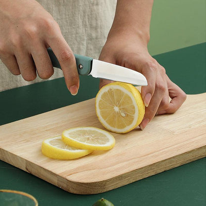 4 in 1 Fruit Knife Peeler