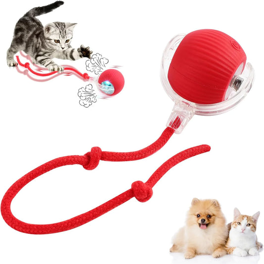 Smart Rechargeable Pet Rolling Ball