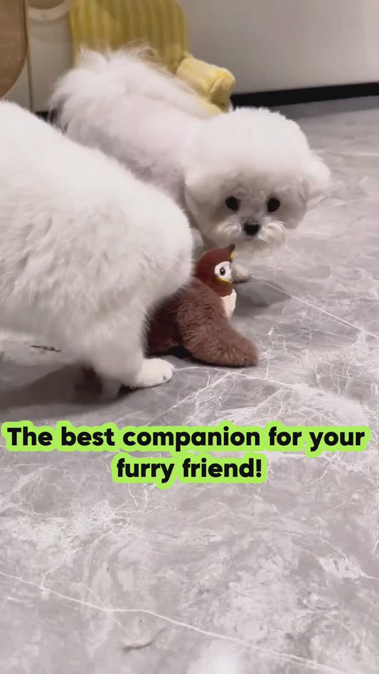 New Smart Flappy Chase Interactive Pet Toy